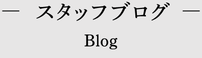 スタッフブログ